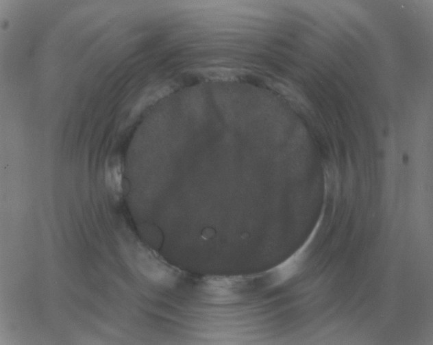 X0000060790190200512082133