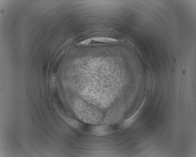 X0000060790191200512082133