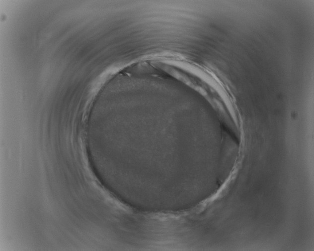 X0000060790193200512082133