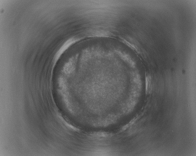 X0000060790195200512082133