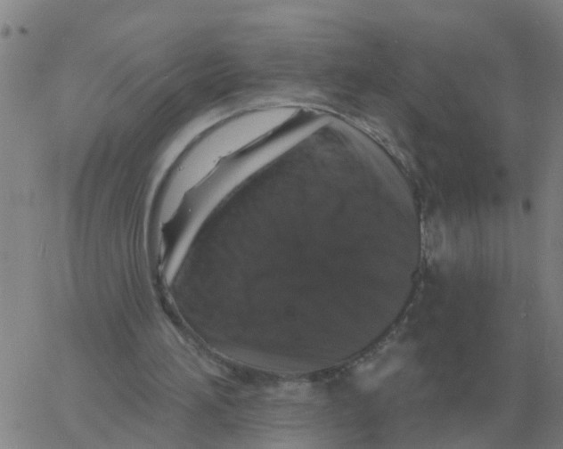 X0000060790196200512082133