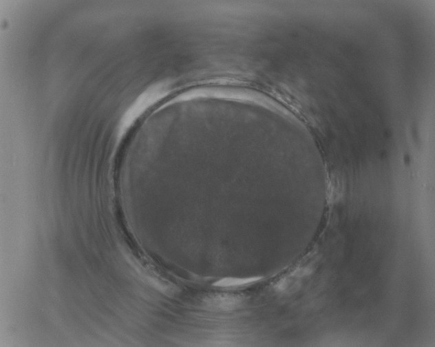 X0000060790198200512082133