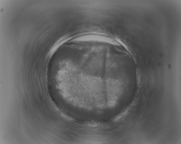 X0000060790199200512082133