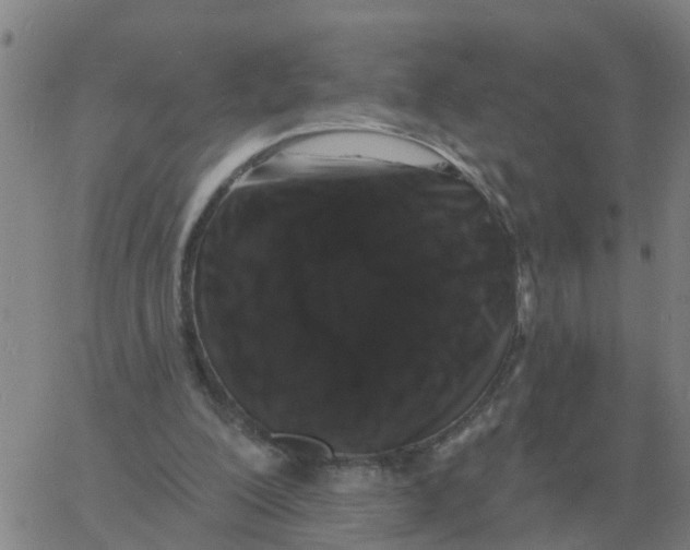 X0000060790200200512082133