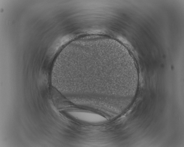 X0000060790201200512082133