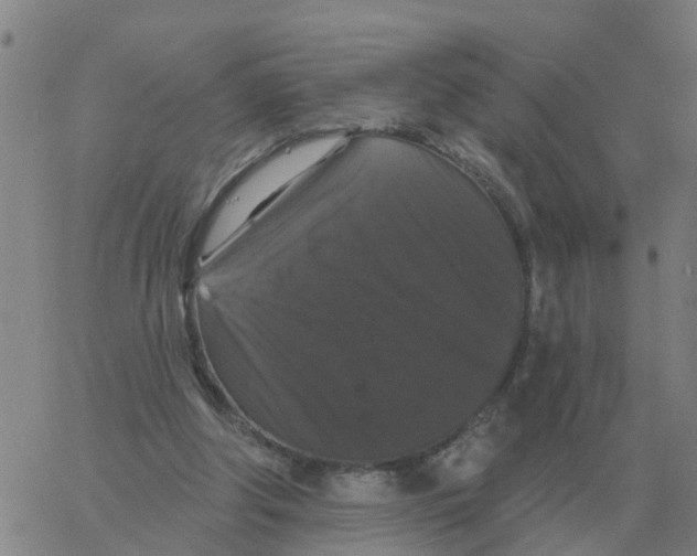 X0000060790202200512082132