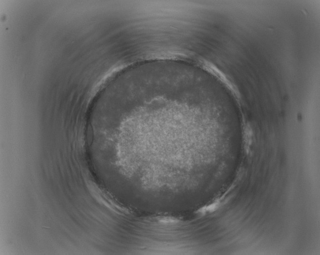 X0000060790203200512082132