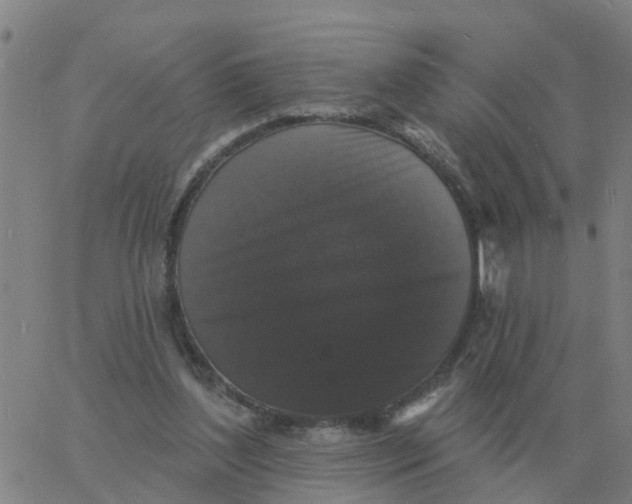 X0000060790204200512082132