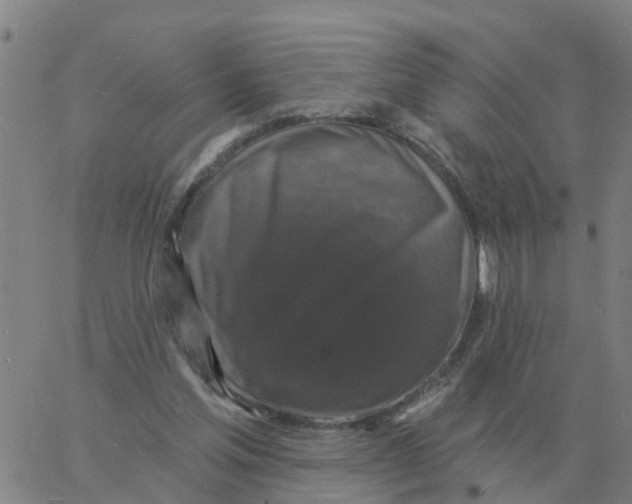 X0000060790205200512082132