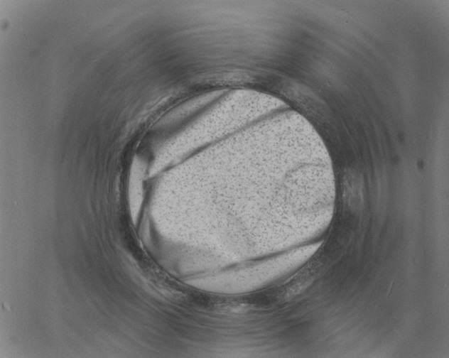 X0000060790206200512082132