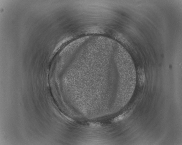 X0000060790207200512082132