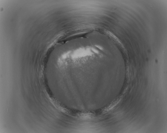 X0000060790209200512082132