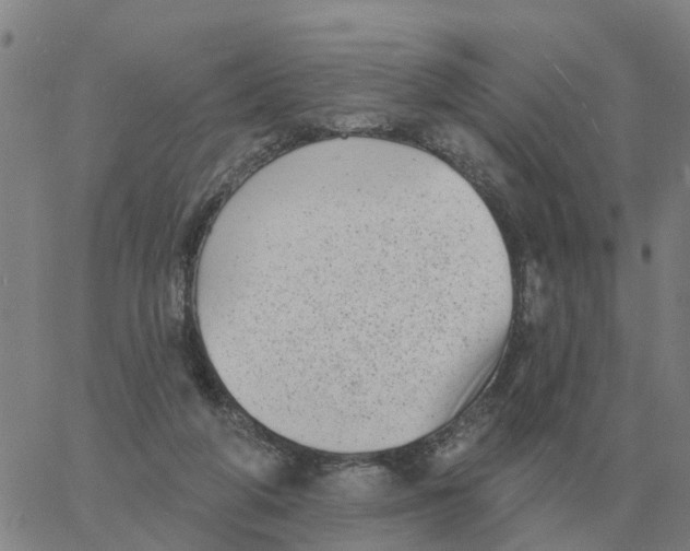 X0000060790210200512082132