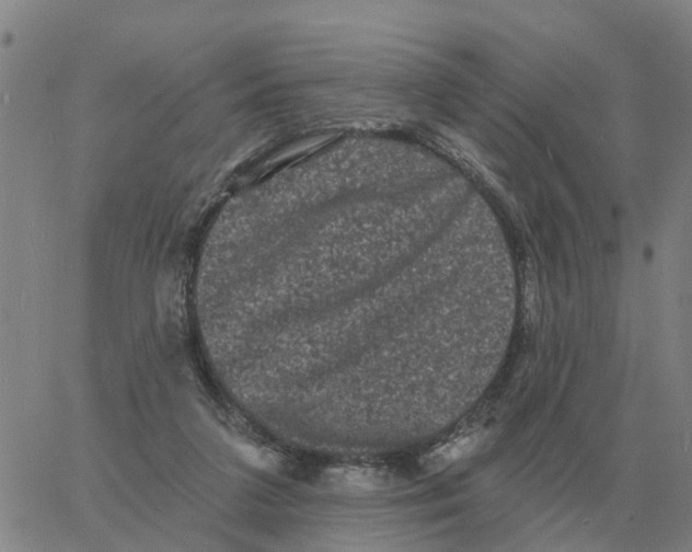 X0000060790211200512082132