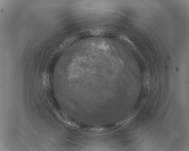 X0000060790213200512082132