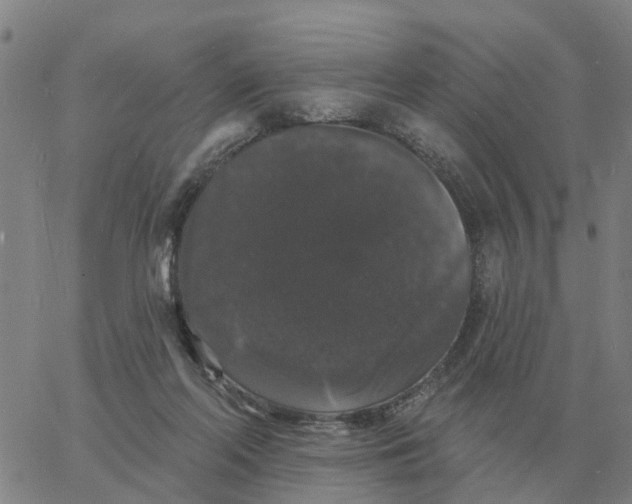 X0000060790214200512082132