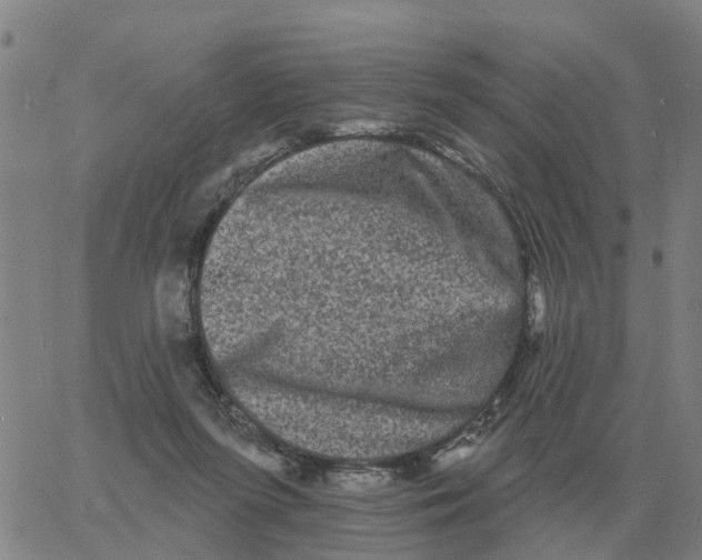 X0000060790215200512082132