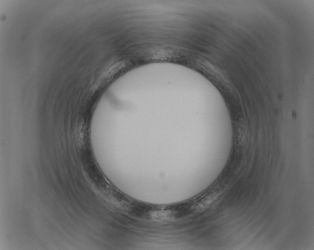 X0000060790216200512082132