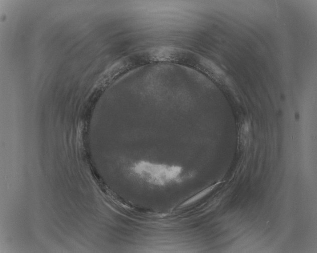 X0000060790217200512082132