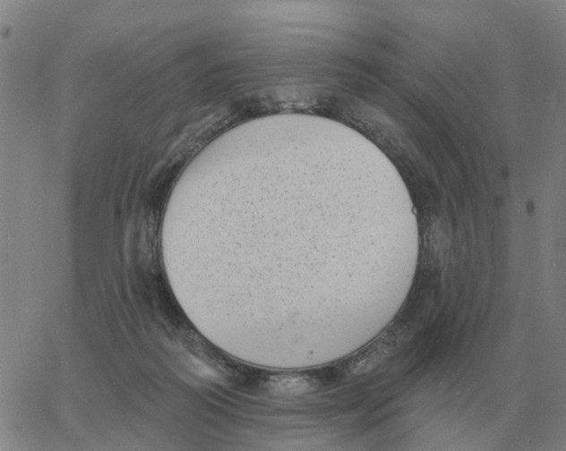 X0000060790218200512082132