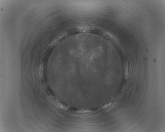 X0000060790221200512082132