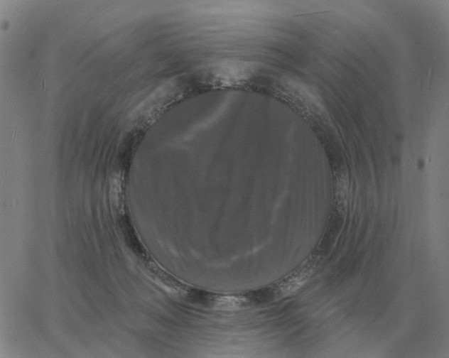 X0000060790222200512082132