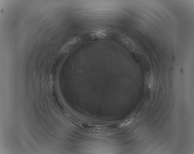 X0000060790223200512082132