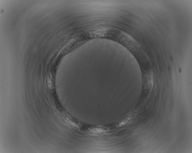 X0000060790224200512082132