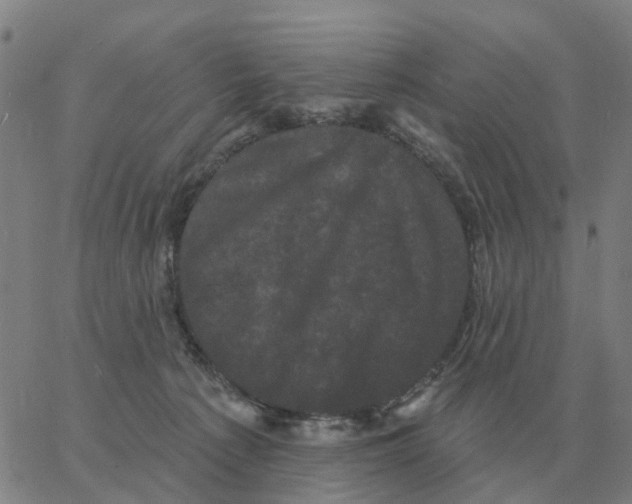 X0000060790225200512082132