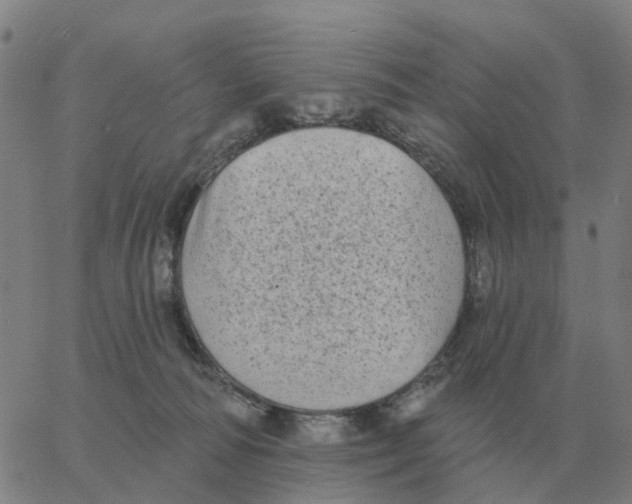 X0000060790226200512082132