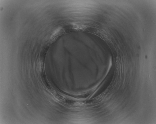 X0000060790227200512082132