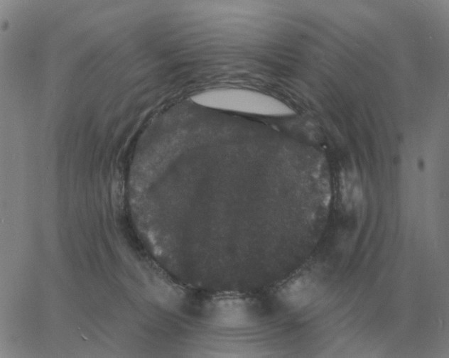 X0000060790228200512082132