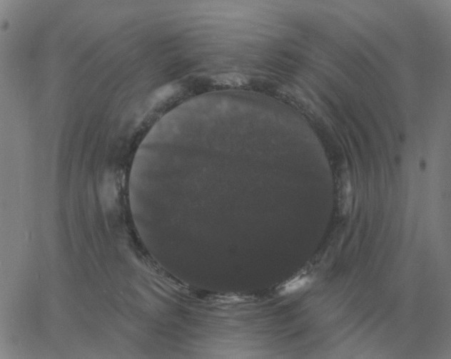 X0000060790229200512082132