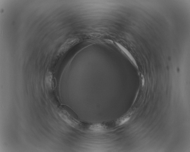 X0000060790231200512082132