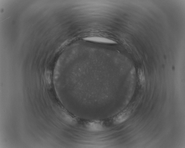 X0000060790232200512082132