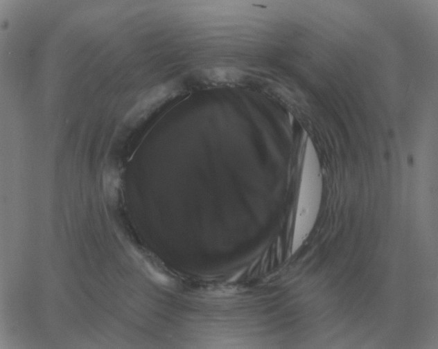 X0000060790235200512082132