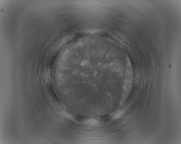 X0000060790236200512082132