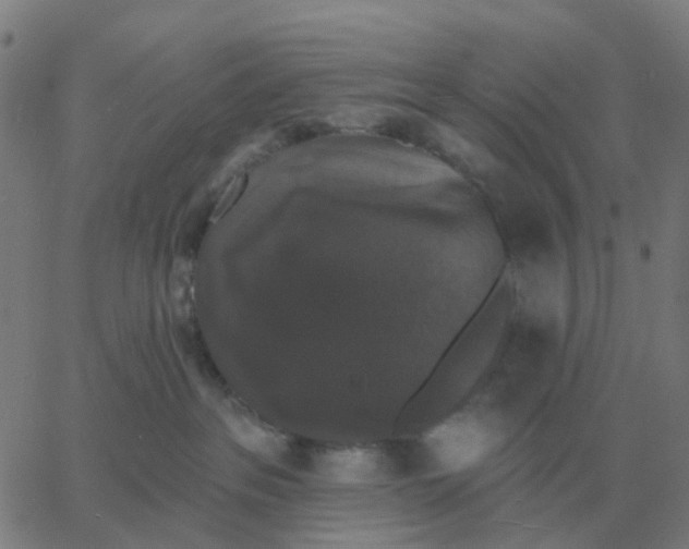 X0000060790237200512082132