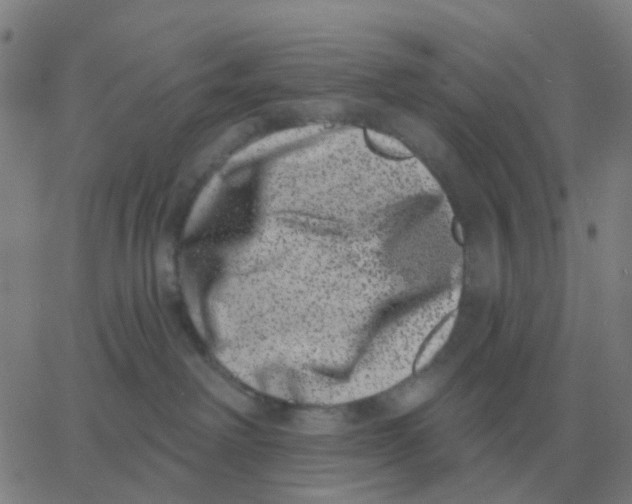 X0000060790238200512082132