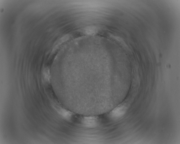 X0000060790240200512082132