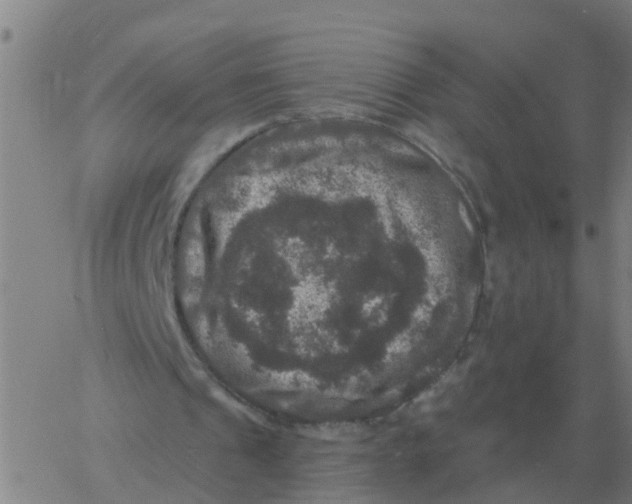 X0000060790241200512082131