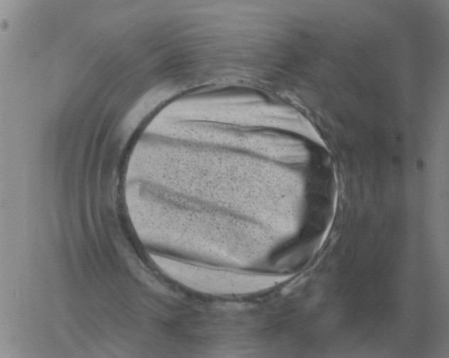 X0000060790242200512082131