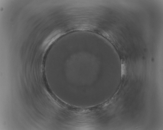 X0000060790243200512082131