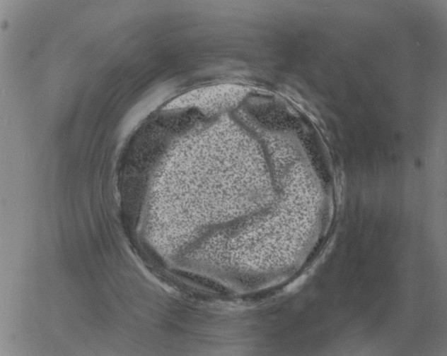 X0000060790245200512082131