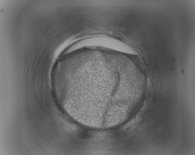 X0000060790246200512082131