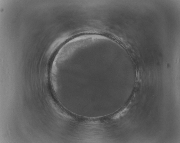 X0000060790247200512082131