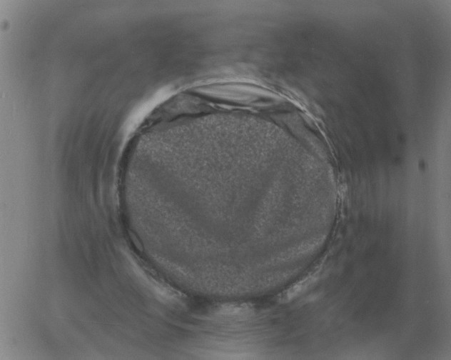 X0000060790248200512082131