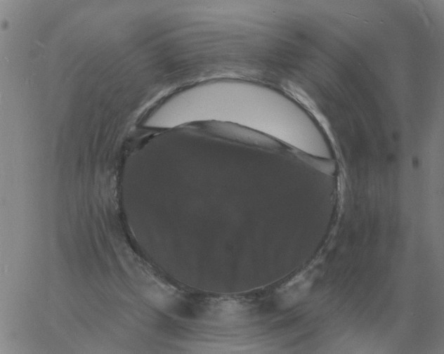 X0000060790249200512082131