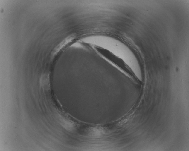 X0000060790250200512082131