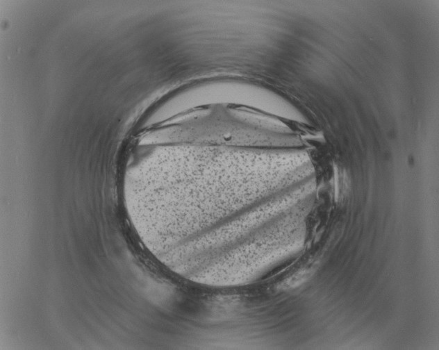 X0000060790252200512082131